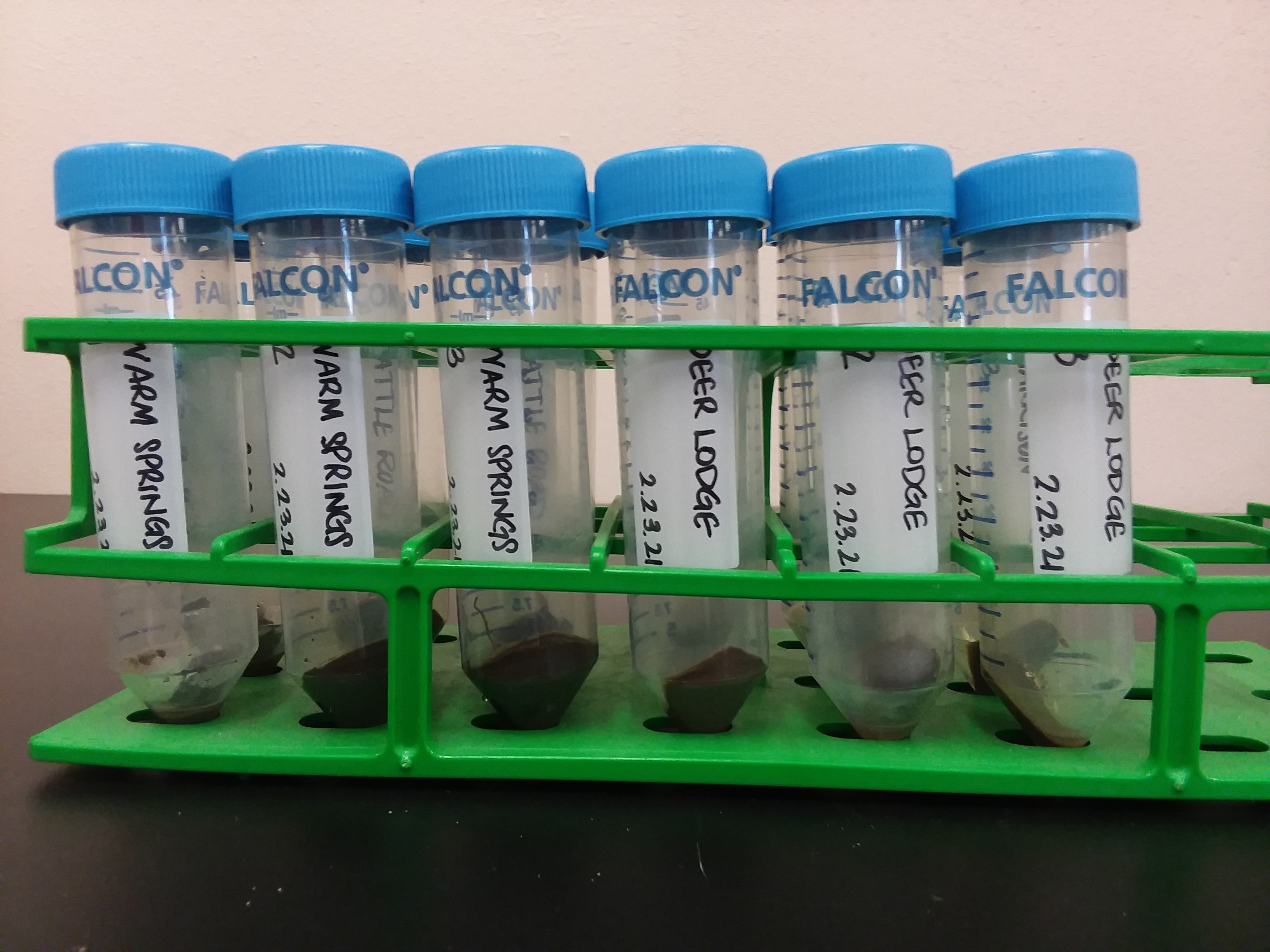 River bed sediment samples (containing microbial biomass) prepared for DNA extraction.