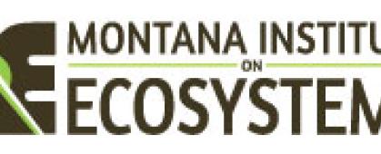 IoE Summer Interns Take on Climate Change Research in Montana