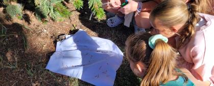 Middle Schoolers looking for insects on a beating sheet