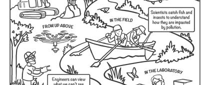 Picture of the Upper Clark Fork River coloring page