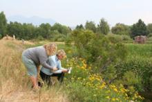 Twelve Montana K-12 Teachers Participate in GPS/GIS Workshop