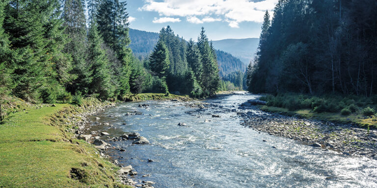 a mountain stream