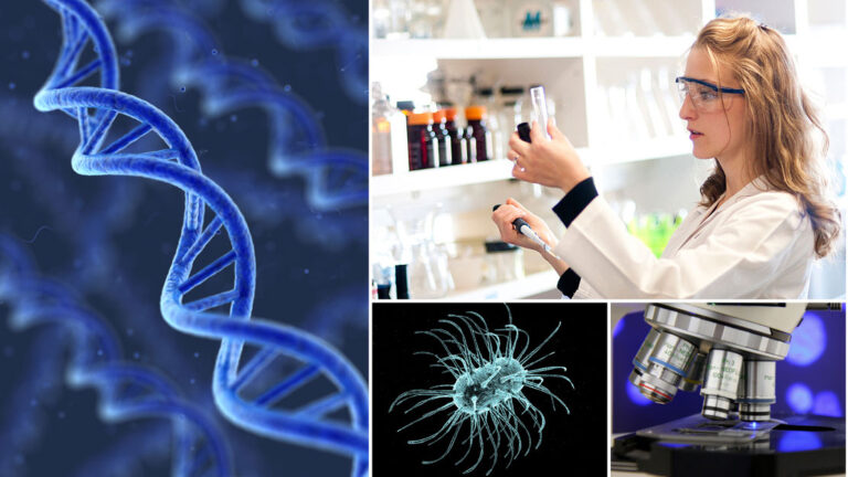 collage of dna strand, microscope, woman scientist in laboratory