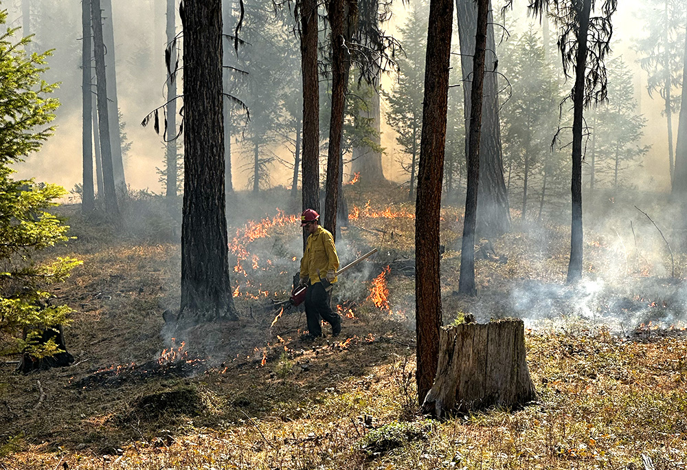a fire crew member in the forest managing a prescribed burn